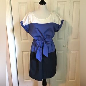 BCBGMaxazria Dress  Blue & white color Block Sz L